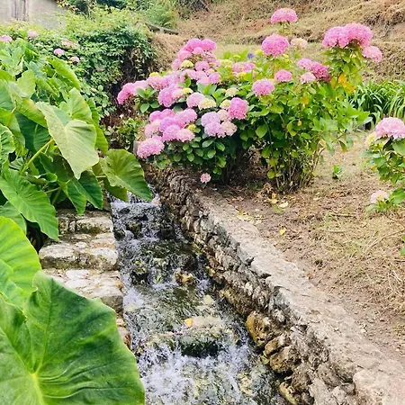 Moinho Do Avo * Pataias